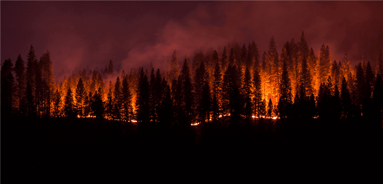Orman Yangını Dumanı Vücudu Nasıl Etkiler? Yangın Dumanından Nasıl Korunulur?