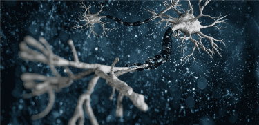 Neuralink Nedir? Neurolink Zararlı Mı? 