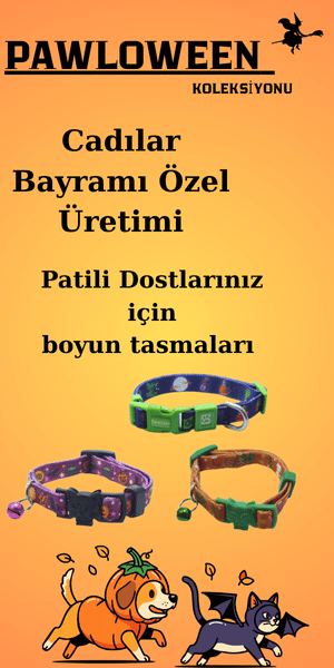 Sponsor Reklam